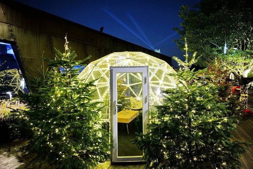 Geodesic Clear Domes 20 ft in Diameter by Domespaces CDS6300